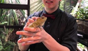 Matthieu, YouTubeur, fan de reptiles