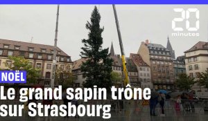 Strasbourg : Le grand sapin de Noël installé place Kléber