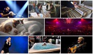 Concerts, salons, cirque : que faire ce week-end à Lille et dans la métropole ?