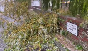 Tempête Ciaran : les images des dégâts à Saint-Omer et autour