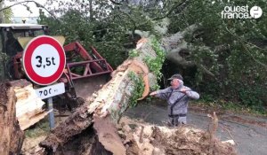 VIDÉO. Ces habitants s'activent près de Fougères après le passage de la tempête Ciaran