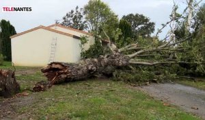 VIDEO. Une "mini-tornade" à La Haie-Fouassière