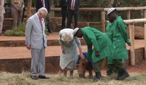 Le roi Charles rejoint Camilla au Sheldrick Wildlife Trust à Nairobi