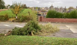 A Haspres, près de Valenciennes, un arbre a arraché des câbles électriques