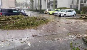 Des voitures endommagées par la chute d’un arbre à Boulogne durant la tempête Ciaran