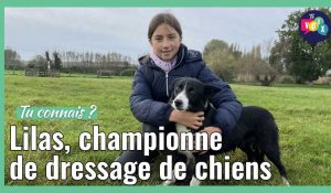 Lilas, Zuytpeenoise de 12 ans et vice-championne du monde de conduite de chiens de troupeau