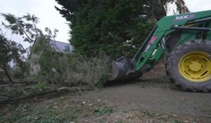 Tempête Ciaran: l'heure est au déblayage dans les Côtes-d'Armor