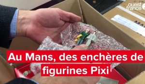 VIDÉO. Une vente aux enchères de figurines Pixi au Mans