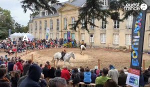 VIDEO. A Falaise, 3 500 personnes se sont déplacées aux Equidays 