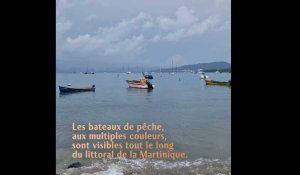Transat: Carte postale de la Martinique J-3, les bâteaux de pêche