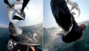 VIDÉO. Un surfeur percuté par une baleine en pleine session