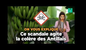 Aux Antilles, le scandale du chlordécone n'est pas terminé