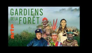 (Bande-annonce) Gardiens de la forêt | Série documentaire | ARTE