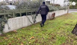 VIDÉO. A Angers, les policiers de la toute nouvelle CRS82 traquent les dealers