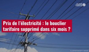 VIDÉO. Prix de l’électricité : le bouclier tarifaire supprimé dans six mois ?