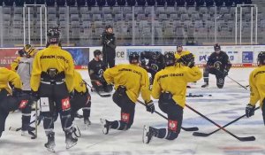 Hockey sur glace - CHL : les Dragons de Rouen prêts pour affronter Mannheim