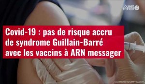 VIDÉO. Covid-19 : pas de risque accru de syndrome Guillain-Barré avec les vaccins à ARN messager