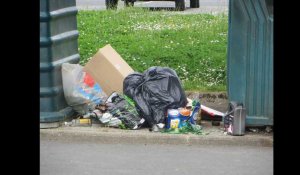 VIDÉO. Peut-on recevoir une amende si l'on jette nos déchets dans la rue ? 