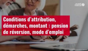 VIDÉO. Conditions d’attribution, démarches, montant : pension de réversion, mode d’emploi