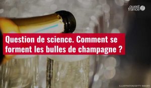 VIDÉO. Question de science. Comment se forment les bulles de champagne ?