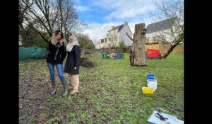 VIDEO. Le terrain d'une école transformé en micro-ferme à Concarneau 