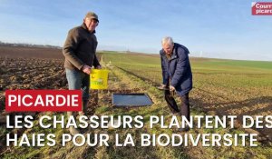 Picardie : les chasseurs plantent des haies pour la biodiversité