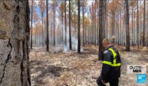 Nouvelle-Calédonie : des milliers d'hectares partis en fumée à cause des incendies