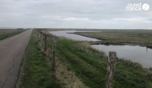 VIDEO. Un chasseur est porté disparu dans les marais en Normandie