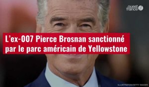 VIDÉO. L’ex-007 Pierce Brosnan sanctionné par le parc américain de Yellowstone