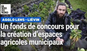 La CALL crée un fonds de concours pour financer des espaces agricoles communaux