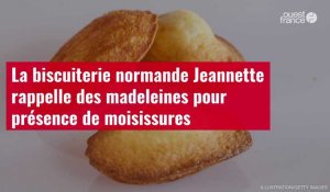 VIDÉO. La biscuiterie normande Jeannette rappelle des madeleines pour présence de moisissures