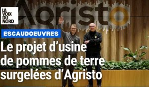 Escaudœuvres : tout savoir sur Agristo et sa future usine de pommes de terre surgelées