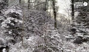 VIDÉO. En forêt d'Écouves, le point culminant de Normandie est recouvert d'une jolie couche de neige