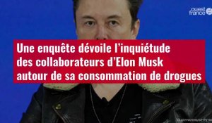 VIDÉO. L’inquiétude des collaborateurs d’Elon Musk autour de sa consommation de drogue