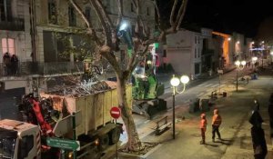 Les platanes de Lézignan-Corbières ont été abatttus