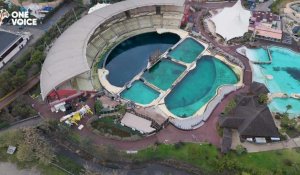 Marineland : le parc réalise des test de stress pour le transport des orques