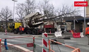 VIDEO. Des arbres arrachés puis replantés grâce à une machine unique en France