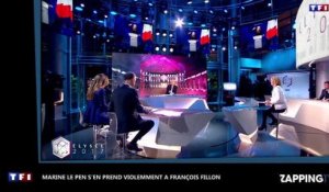 Marine Le Pen s'en prend violemment à François Fillon (vidéo)