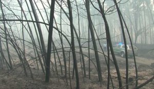 Portugal: gigantesque incendie de forêt, 57 morts