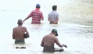 Inondations et glissements de terrain au Sri Lanka : au moins 200 morts
