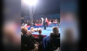 Russie : Un ours attaque les spectateurs d'un cirque  (vidéo)