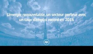 L’énergie renouvelable, un secteur toujours plus porteur avec un taux d’emploi record en 2016