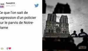 Notre-Dame : l'agresseur, placé en garde à vue, avait prêté allégeance au groupe État islamique dans une vidéo