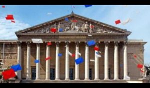Emission spéciale élections législatives en France - Frédéric Dabi