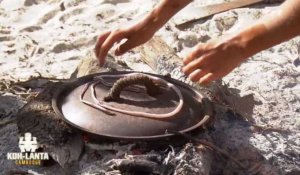 Koh-Lanta 2017 : Les candidats tuent et mangent un serpent trouvé sur le camp (Vidéo)