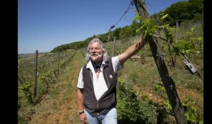 A torgny, Claude est au service de Bacchus.