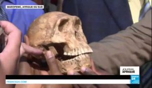 L'origine de l'homme, Homo Naledi à cotoyé l'Homo Sapiens en Afrique du sud