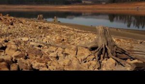 Au Cap, la pire sécheresse depuis un siècle