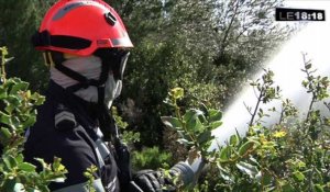 Marseille : les marins pompiers se préparent face au risque incendie