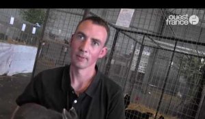 800 animaux au salon avicole de Saint-Lô et plusieurs prix remis
